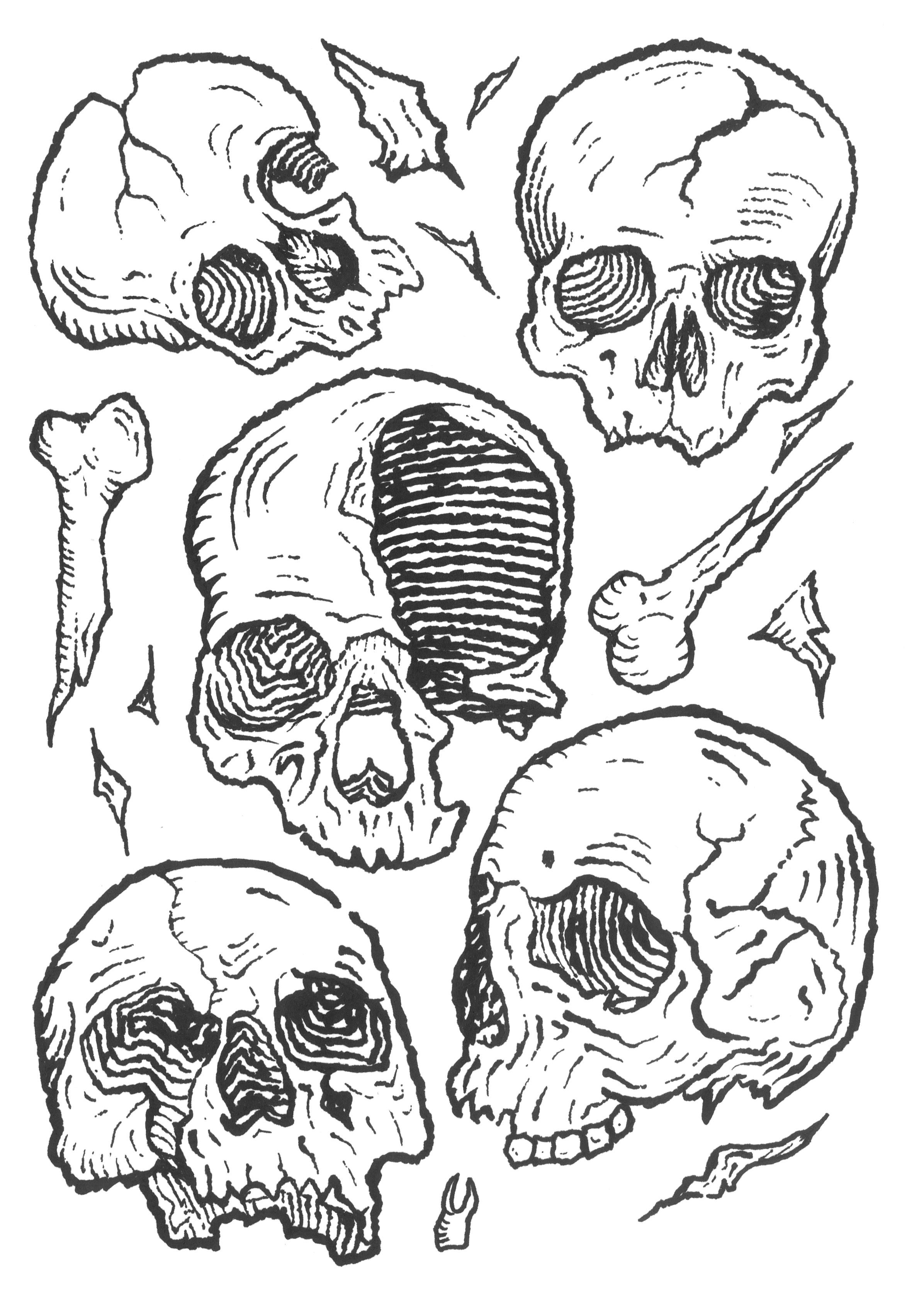 Skulls